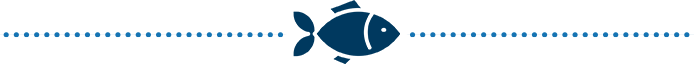 Fish Illustration